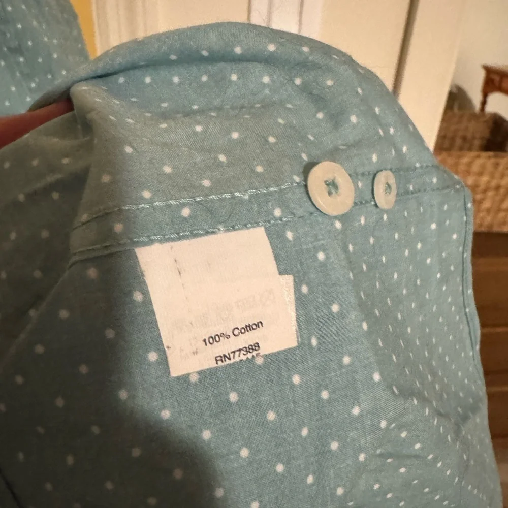 J. Crew Light Blue-Green Polka Dot Men's Shirt